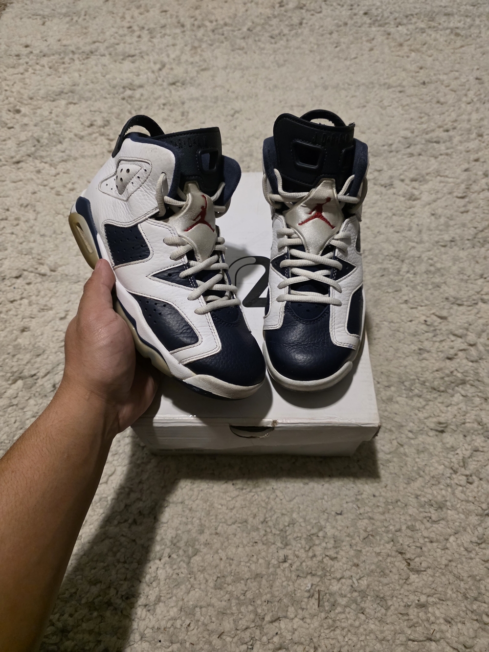 Air Jordan 6 Retro Navy and White Sneakers